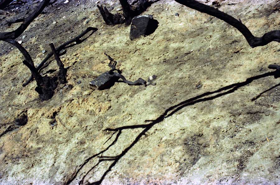 fire aftermath, Angeles Crest