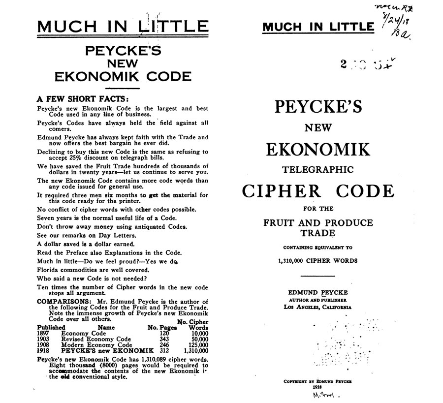 peycke_new_ekonomic_1918_title_900w819h.jpg